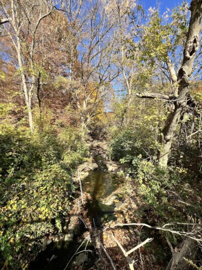 Oakview Falls - Drexel Hill, PA