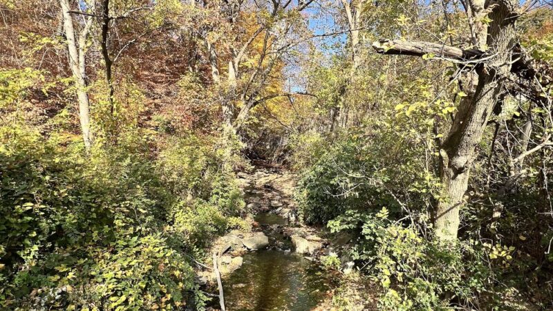 Oakview Falls - Drexel Hill, PA