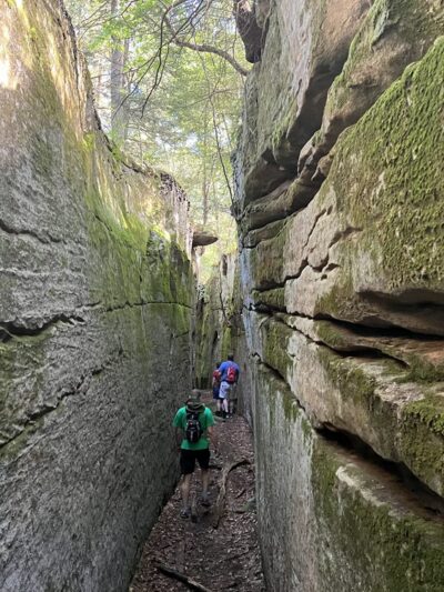 Fred Woods Trail - Driftwood, PA