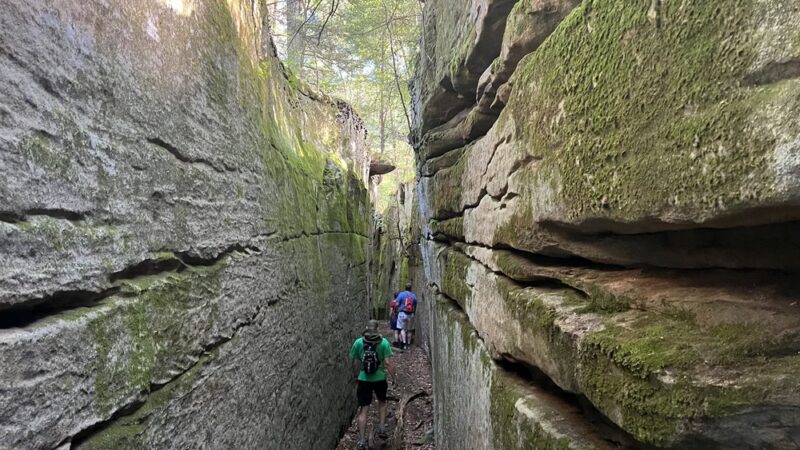 Fred Woods Trail - Driftwood, PA