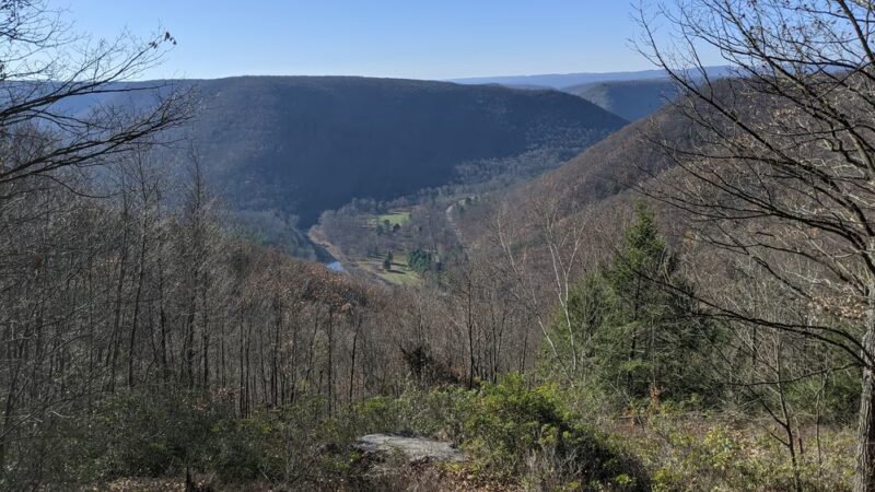 Fred Woods Trail - Driftwood, PA