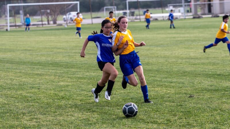 The Dripping Springs Sports & Recreation Park - Dripping Springs, TX