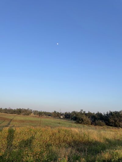 The Dripping Springs Sports & Recreation Park - Dripping Springs, TX