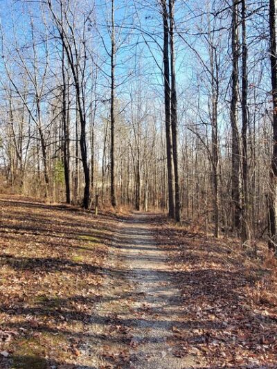 Drummonds Park - Drummonds, TN
