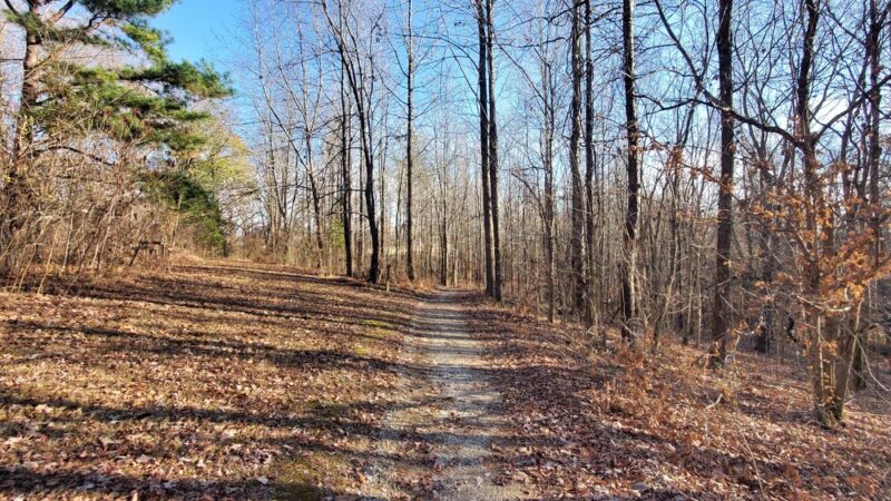 Drummonds Park - Drummonds, TN