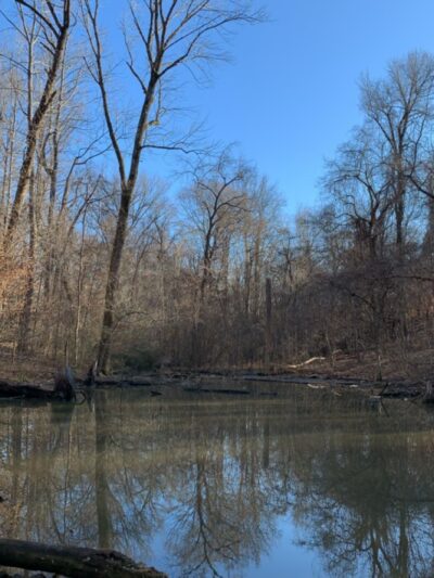 Drummonds Park - Drummonds, TN
