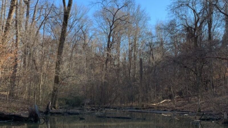 Drummonds Park - Drummonds, TN