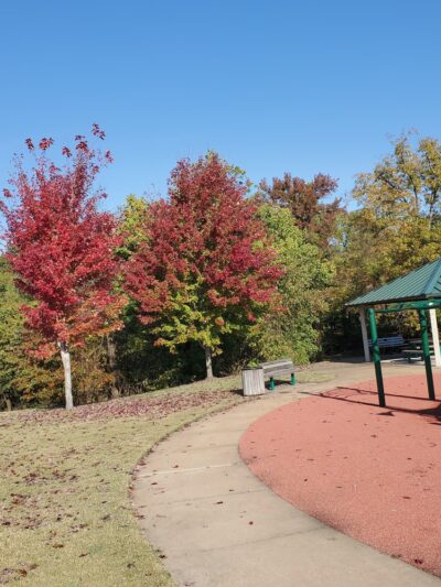 Drummonds Park - Drummonds, TN