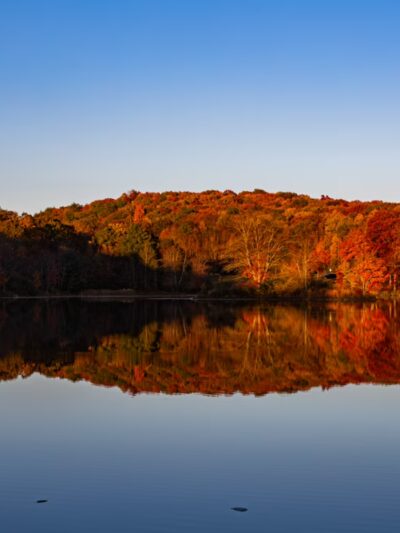 Nescopeck State Park - Drums, PA