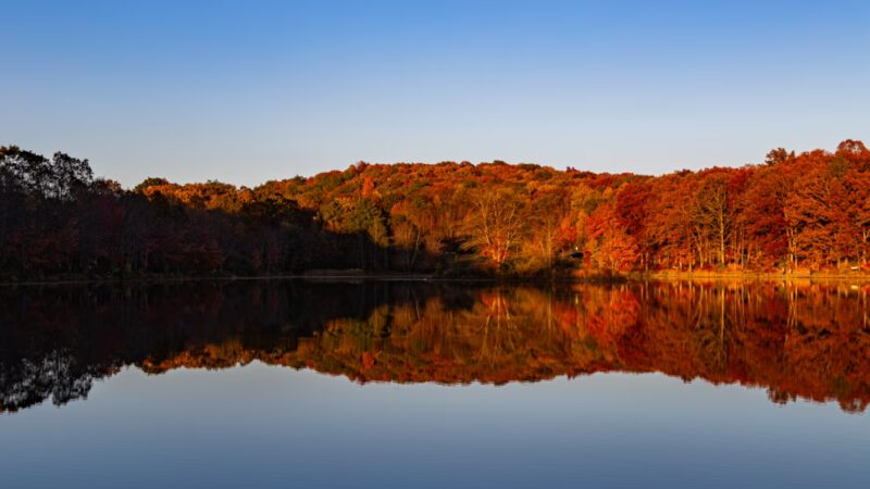 Nescopeck State Park - Drums, PA