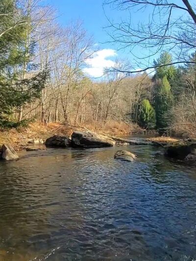 Nescopeck State Park - Drums, PA