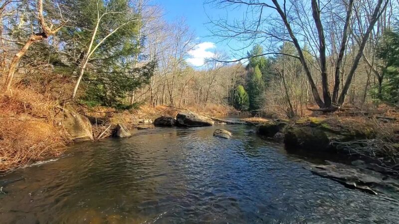 Nescopeck State Park - Drums, PA