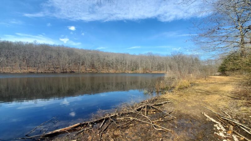 Nescopeck State Park - Drums, PA