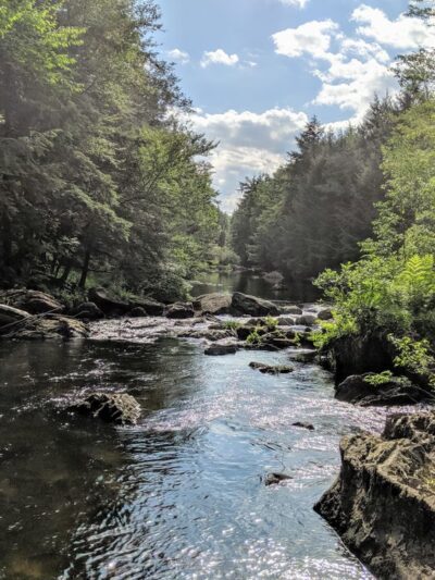 Nescopeck State Park - Drums, PA