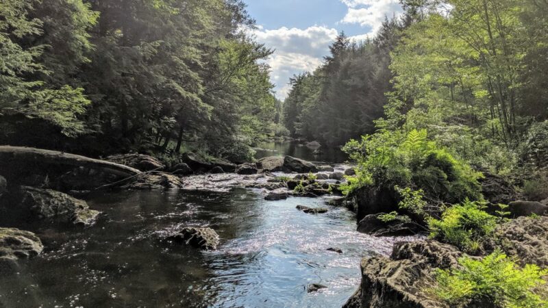 Nescopeck State Park - Drums, PA