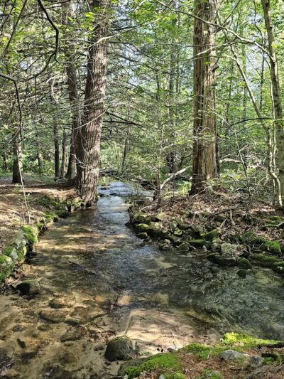 Nescopeck State Park - Drums, PA