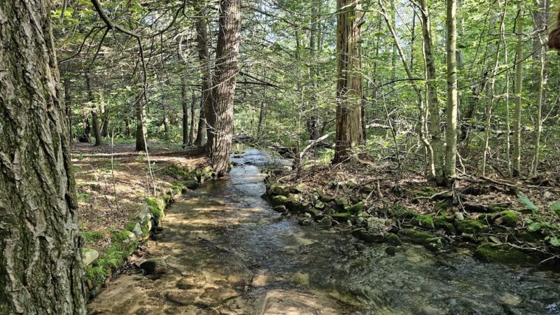 Nescopeck State Park - Drums, PA