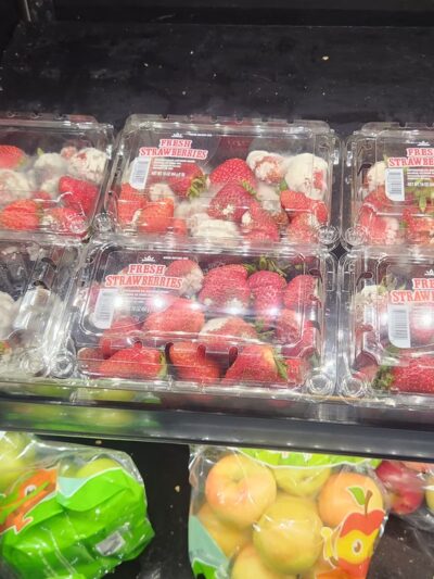 Dollar General - Dry Prong, LA