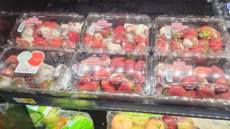 Dollar General - Dry Prong, LA