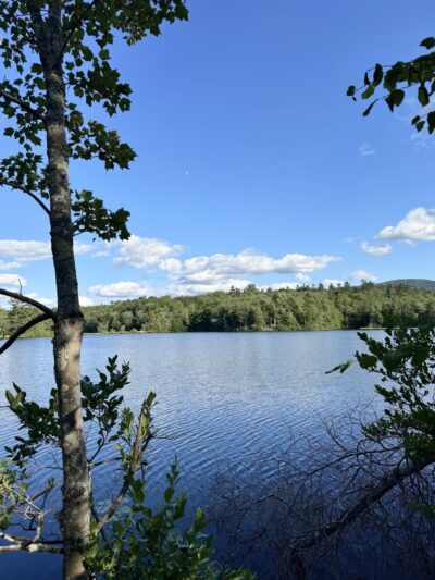 Dublin Park - Dublin, NH