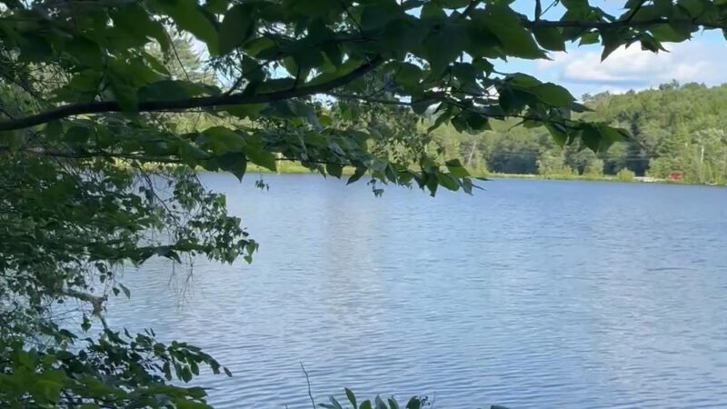 Dublin Park - Dublin, NH
