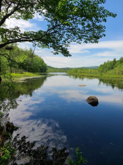 Hiroshi Loop Trail - Dublin, NH