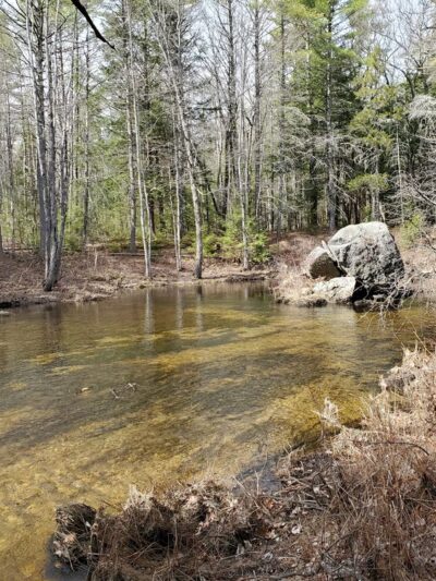Hiroshi Loop Trail - Dublin, NH