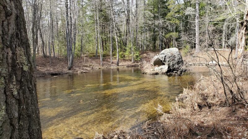 Hiroshi Loop Trail - Dublin, NH