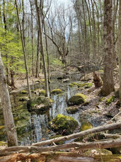Hiroshi Loop Trail - Dublin, NH
