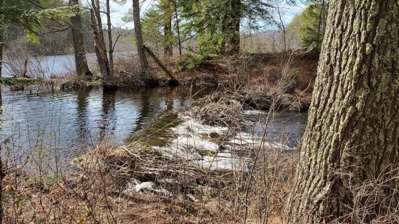 Hiroshi Loop Trail - Dublin, NH