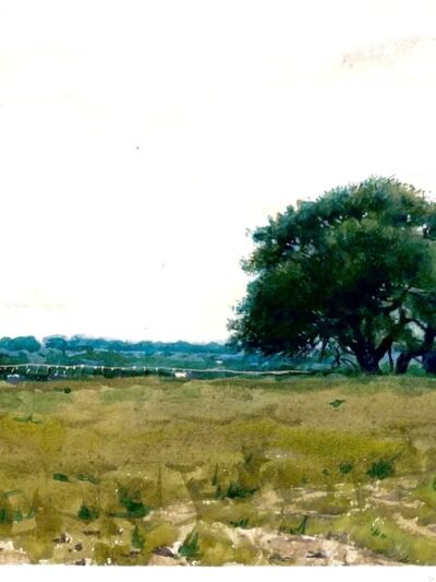 Dublin City Park - Dublin, TX