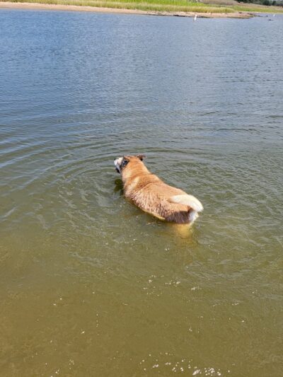 Proctor Lake Park - Dublin, TX