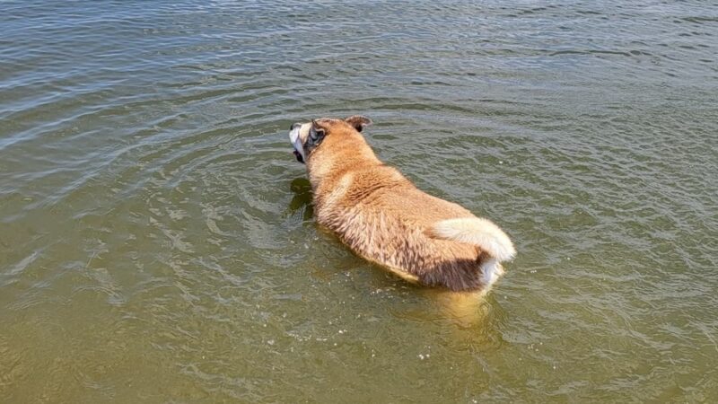 Proctor Lake Park - Dublin, TX