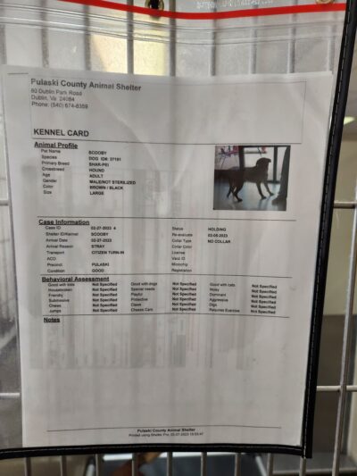 Pulaski County Animal Control - Dublin, VA