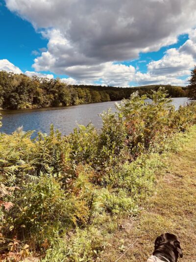 Quinebaug River Valley Rail Trail - Dudley, MA