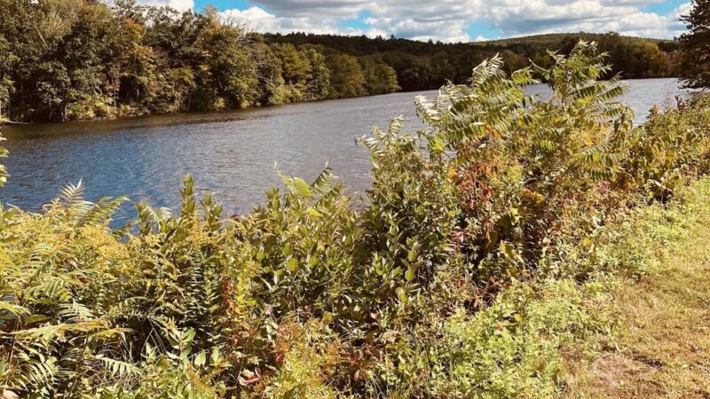 Quinebaug River Valley Rail Trail - Dudley, MA