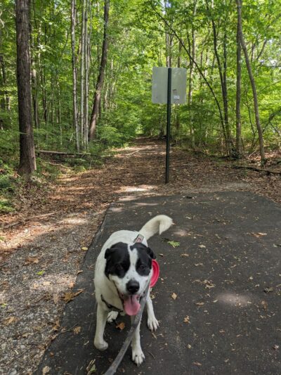 Quinebaug River Valley Rail Trail - Dudley, MA
