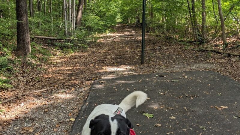 Quinebaug River Valley Rail Trail - Dudley, MA