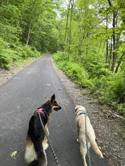 Quinebaug River Valley Rail Trail - Dudley, MA