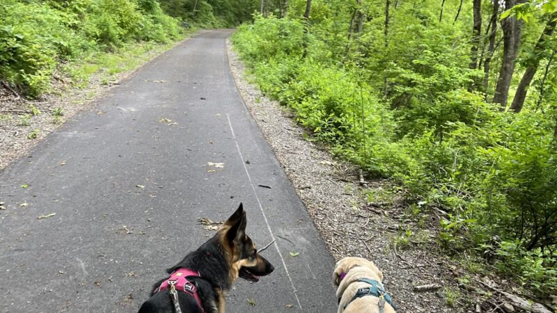 Quinebaug River Valley Rail Trail - Dudley, MA