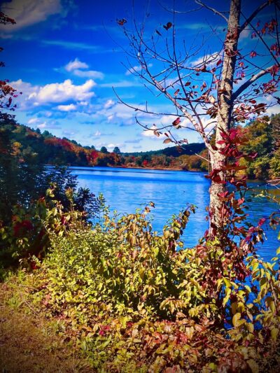 Quinebaug River Valley Rail Trail - Dudley, MA