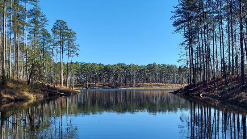 Dumas Lions Club Ballpark - Dumas, AR
