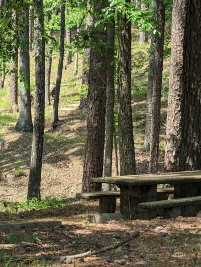 Dumas Lions Club Ballpark - Dumas, AR
