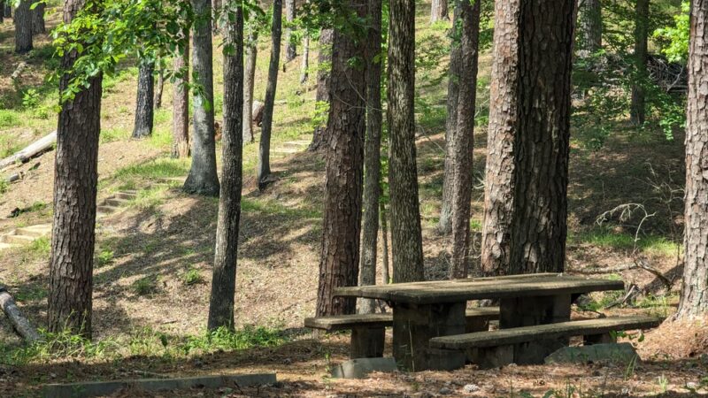 Dumas Lions Club Ballpark - Dumas, AR