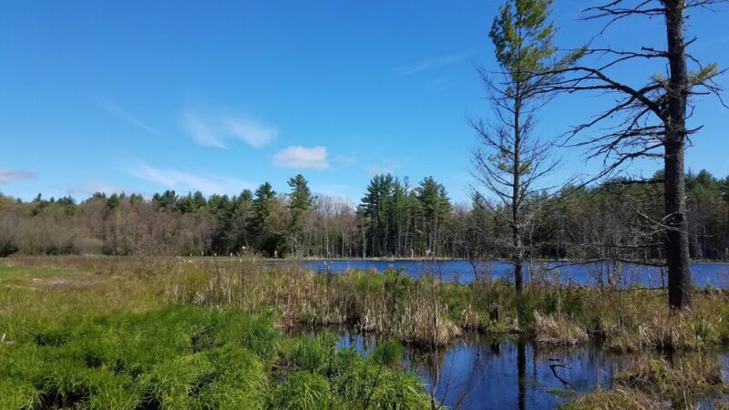 Stark Pond Wildlife Management Area - Dunbarton, NH