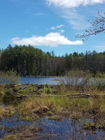 Stark Pond Wildlife Management Area - Dunbarton, NH