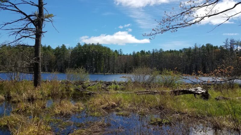 Stark Pond Wildlife Management Area - Dunbarton, NH