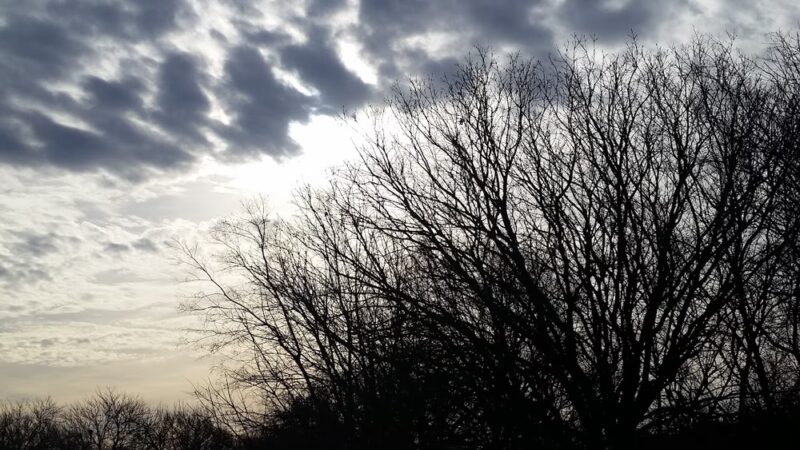 Quail Run Park - Duncanville, TX
