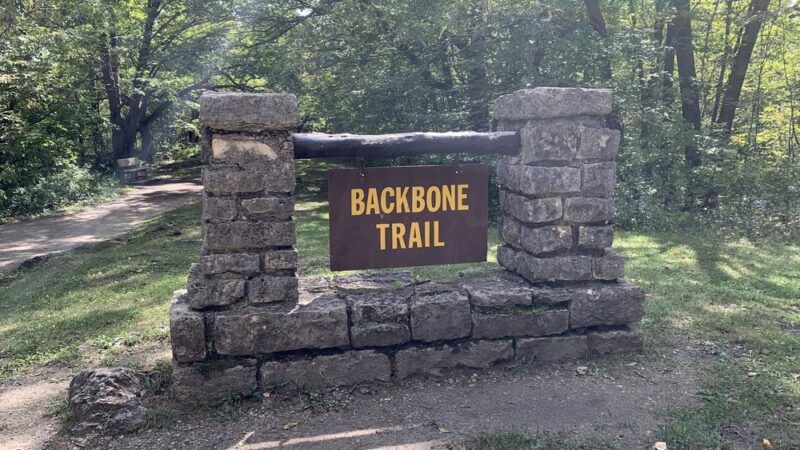 Backbone State Park - Dundee, IA