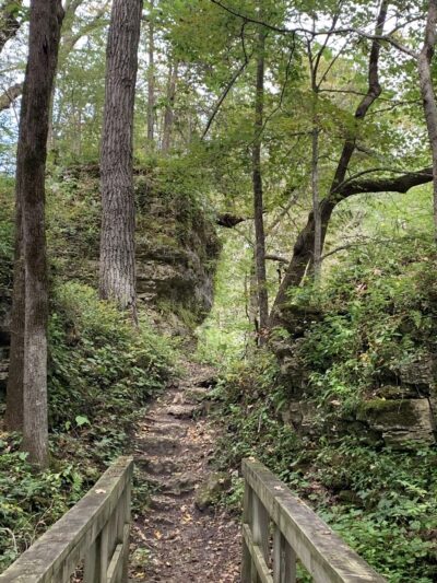 Backbone State Park - Dundee, IA